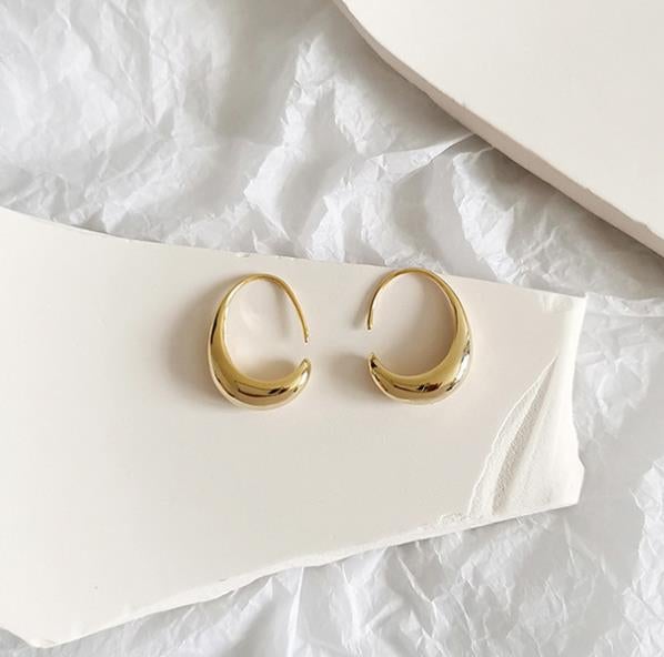 Chic Gold and Silver Earrings