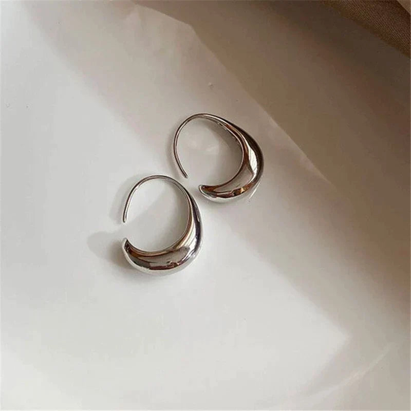Chic Gold and Silver Earrings